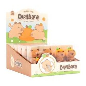 Temperówka Kapibara (24szt)