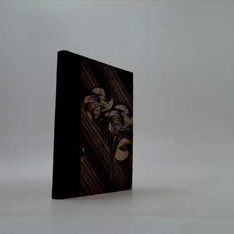 Julie neboli Nová Heloisa VI.