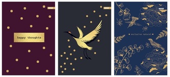 Zeszyt A4 60k. kratka Metalic Colour, Beniamin