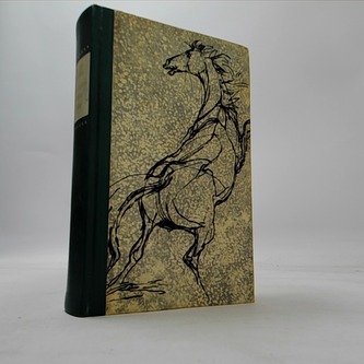 Sturmwind  - Flickas Sohn