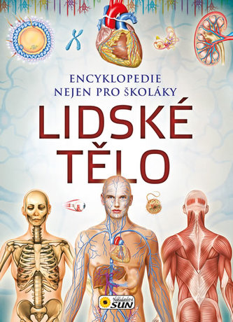 Lidské tělo