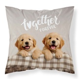 DETEXPOL Povlak na polštářek Pejsci micro  Polyester, 40/40 cm