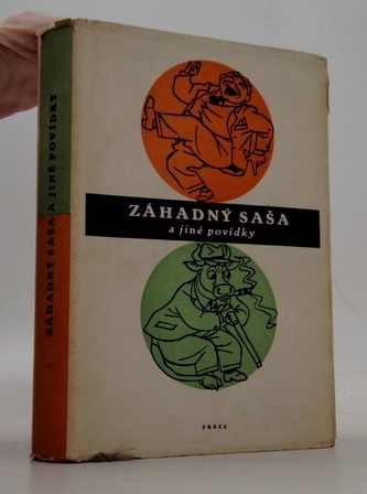 Záhadný Saša a jiné povídky