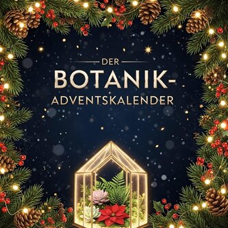 Der Botanik-Adventskalender