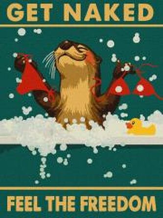 Malowanie po numerach - Plakat. Wolna wydra 30x40