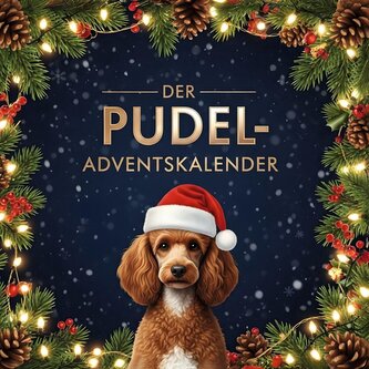 Der Pudel-Adventskalender
