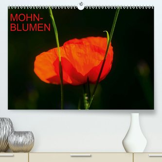 Mohnblumen (Premium, hochwertiger DIN A2 Wandkalender 2021, Kunstdruck in Hochglanz)