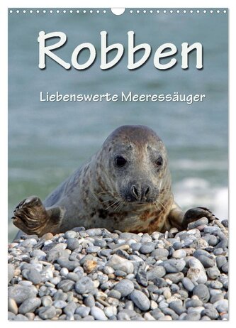 Robben (Wandkalender 2026 DIN A3 hoch), CALVENDO Monatskalender