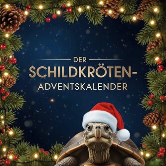 Der Schildkröten-Adventskalender