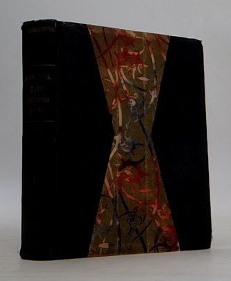 Rytíř se železnou pěstí I.