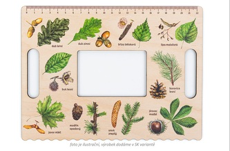 Lesní svět Okienko hravého BÁDATEĽA - Stromy SK