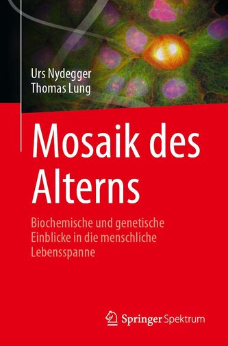 Mosaik des Alterns