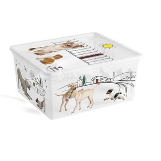 C BOX 84090005098 Box 18 L, Style, Pets Collection