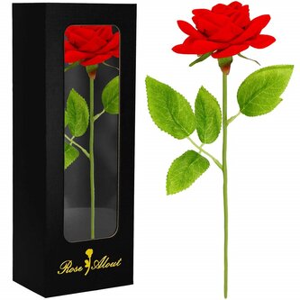 Věčná růže v dárkovém balení SPRINGOS HA7449 červená