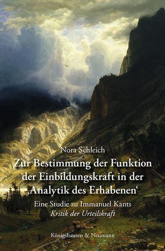 Zur Bestimmung der Funktion der Einbildungskraft in der >Analytik des Erhabenen