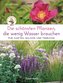 Die schönsten Pflanzen, die wenig Wasser brauchen für Garten, Balkon und Terrasse - 66 trockenheitsverträgliche Stauden, Sträuch