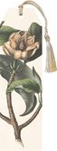 Zakładka 45 ze wstążką Magnolia