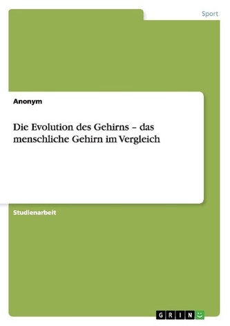 Die Evolution des Gehirns - das menschliche Gehirn im Vergleich