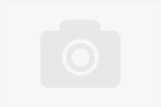 PLA raspberry | Smart Print