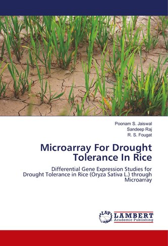 Microarray For Drought Tolerance In Rice