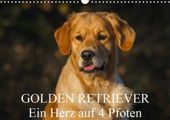 Golden Retriever - Ein Herz auf 4 Pfoten (Wandkalender 2021 DIN A3 quer)