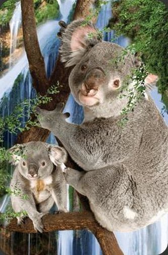 Mini kartka 3D Koala