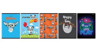 Zeszyt A5/32K kratka Neutral (10szt)