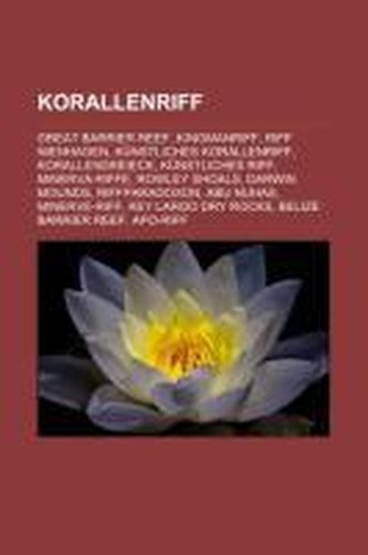 Korallenriff