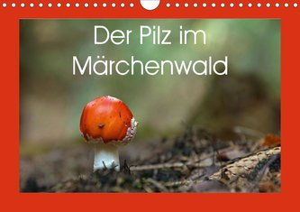 Der Pilz im Märchenwald (Wandkalender 2021 DIN A4 quer)