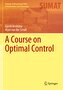 A Course on Optimal Control