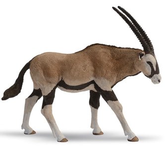 Antilopa Oryx