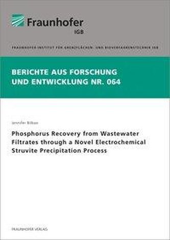 Phosphorus Recovery from Wastewater Filtrates through a Novel Electrochemical Struvite Precipitation Process
