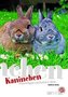 Kaninchen