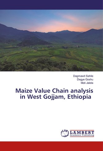 Maize Value Chain analysis in West Gojjam, Ethiopia