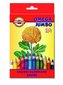 Kredki Omega Jumbo 24 kolory