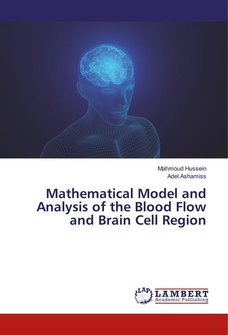 Mathematical Model and Analysis of the Blood Flow and Brain Cell Region