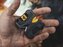 WSEDCPVT-I Work Sharp Work Sharp EDC Pivot Knife Sharpener