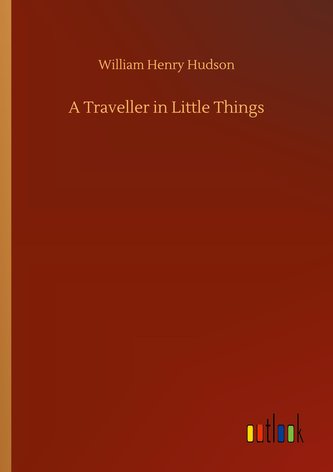 A Traveller in Little Things
