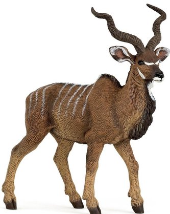 Antilopa Kudu velký