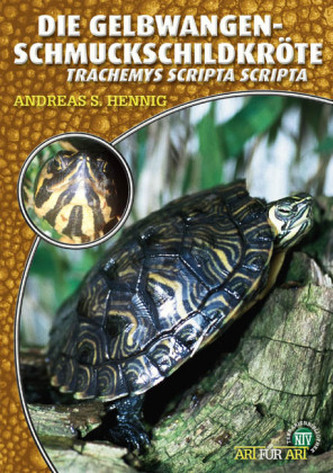 Die Gelbwangenschmuckschildkröte