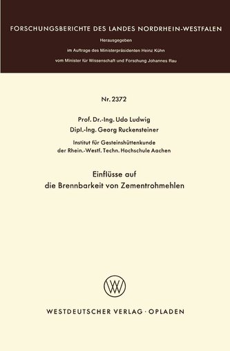 Einflüsse auf die Brennbarkeit von Zementrohmehlen