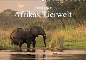 Afrikas Tierwelt Christian Heeb (Wandkalender 2021 DIN A2 quer)