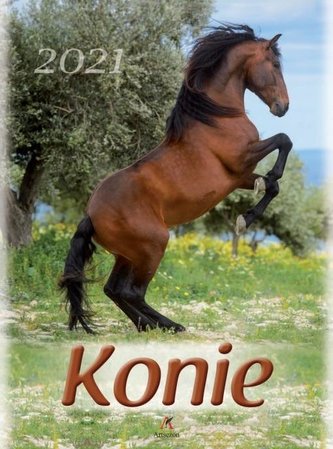 Kalendarz 2021 Ścienny Konie ARTSEZON