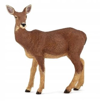 Laň