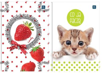 Brulion A7/80K kratka (20szt)