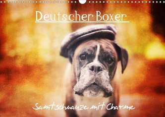 Deutscher Boxer (Wandkalender 2021 DIN A3 quer)