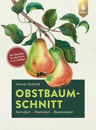 Obstbaumschnitt