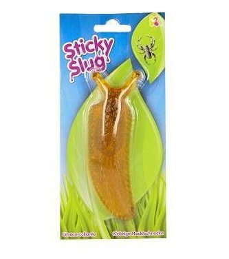 Ślimak przylepiający się