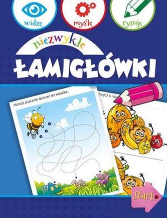 Widzę, myślę, rysuję. Niezwykłe łamigłówki