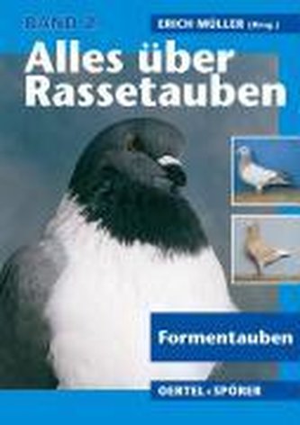 Alles über Rassetauben 2